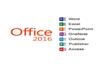 Multi положительная величина Майкрософт Офис 2016 языка профессиональная