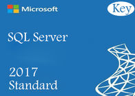 Неограниченная лицензия стандарта сервера 2017 Майкрософта SQL