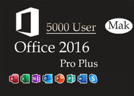 Лицензии цифров тома версии Pro положительной величины офиса 2016 потребителя Mak 5000 глобальные